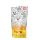 Josera Paté Pute mit Zucchini - Fresh Fellow - 4032254750123