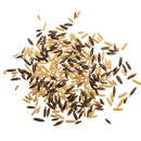 Marstall Naturgold Schwarz - Gold - Hafer ganz - Fresh Fellow - 4250006303797